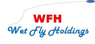 Fly Holdings